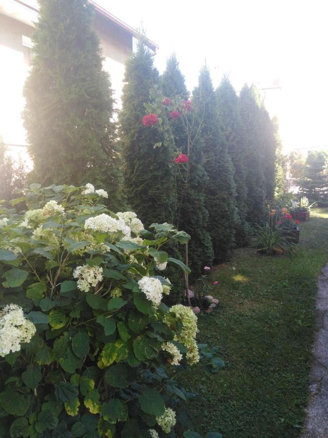 Hostel U Misiow Suwałki Dış mekan fotoğraf