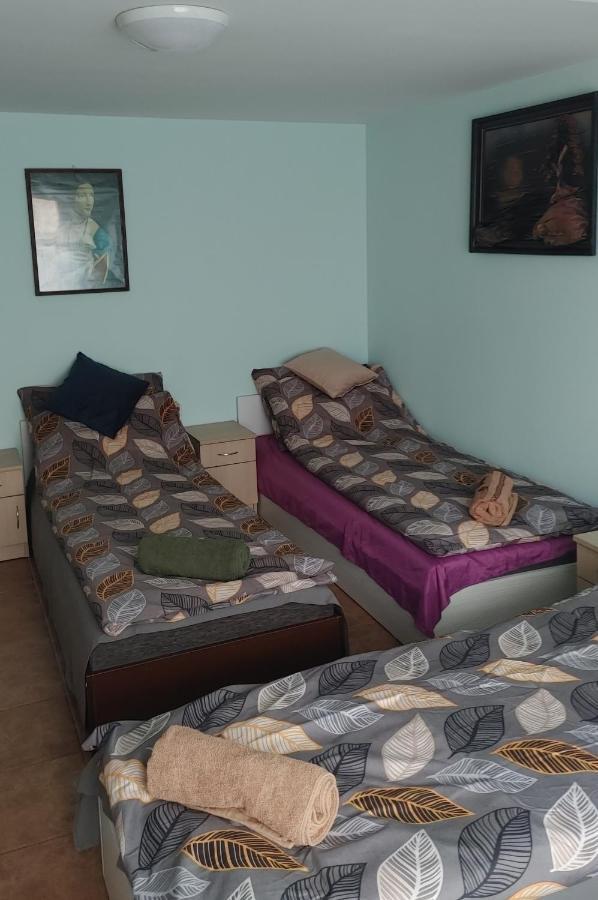 Hostel U Misiow Suwałki Dış mekan fotoğraf
