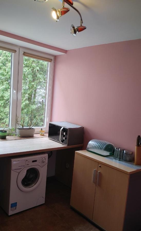 Hostel U Misiow Suwałki Dış mekan fotoğraf